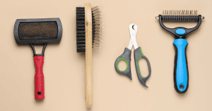 The Top Dog Brushes of 2024