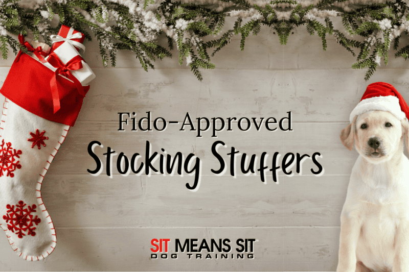 Dog-Approved Stocking Stuffer Ideas