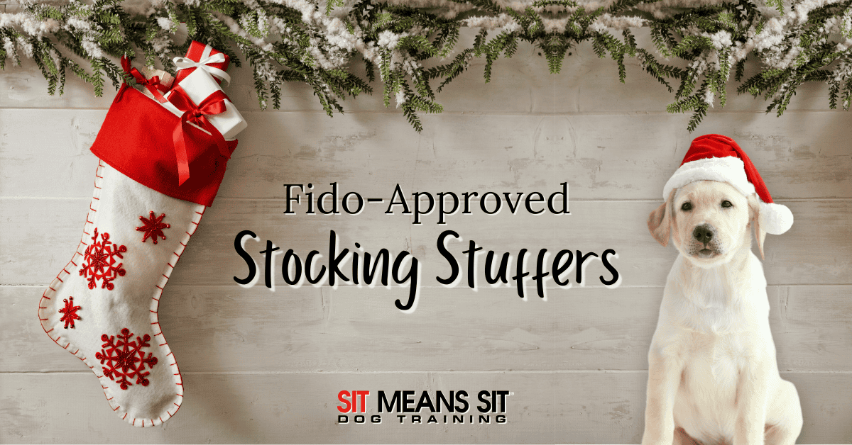 Dog-Approved Stocking Stuffer Ideas