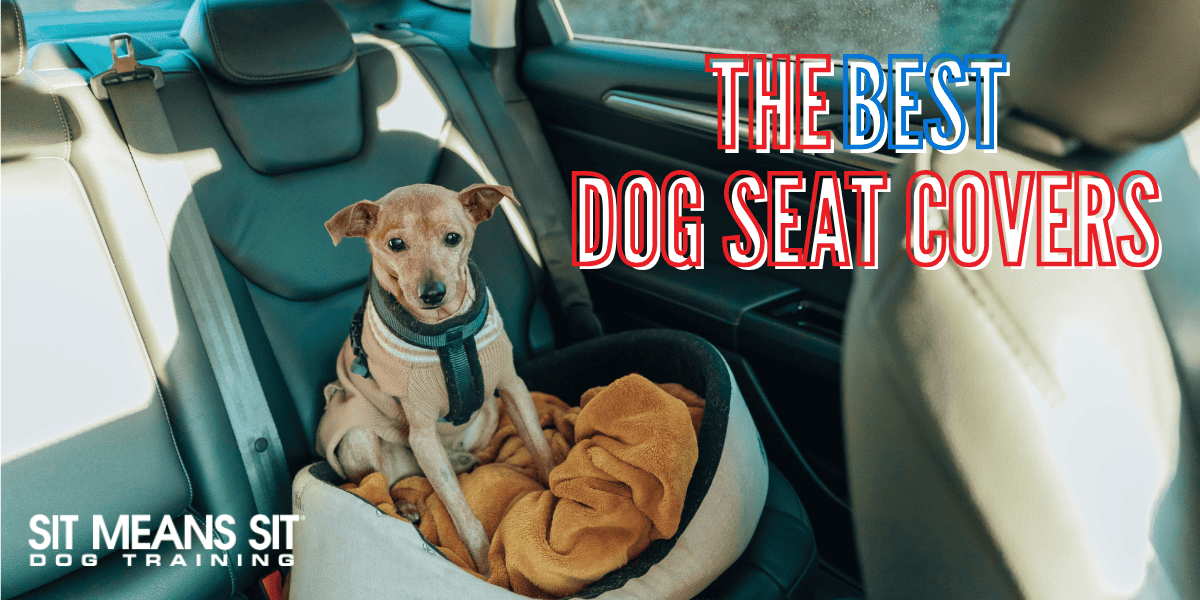 The Best Dog Seat Covers for Cars