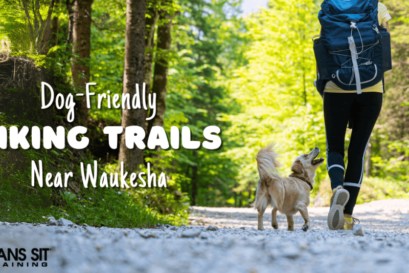 Dog-Friendly Hiking Trails Near Waukesha