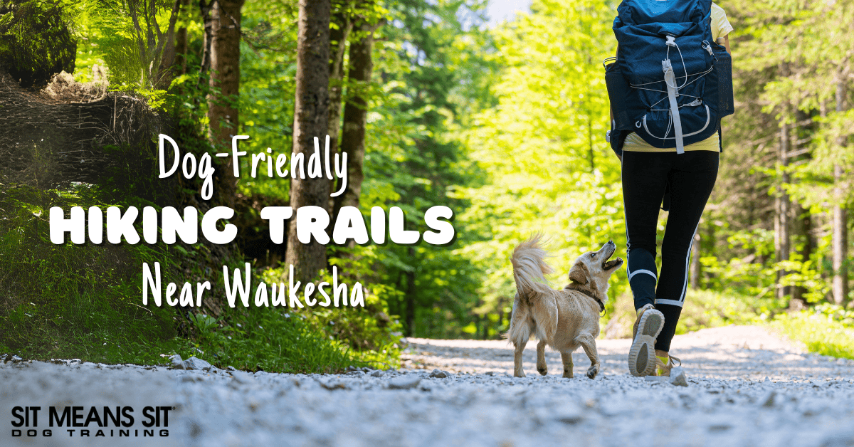 Dog-Friendly Hiking Trails Near Waukesha