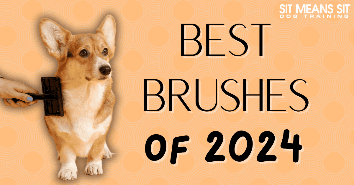 The Top Dog Brushes of 2024